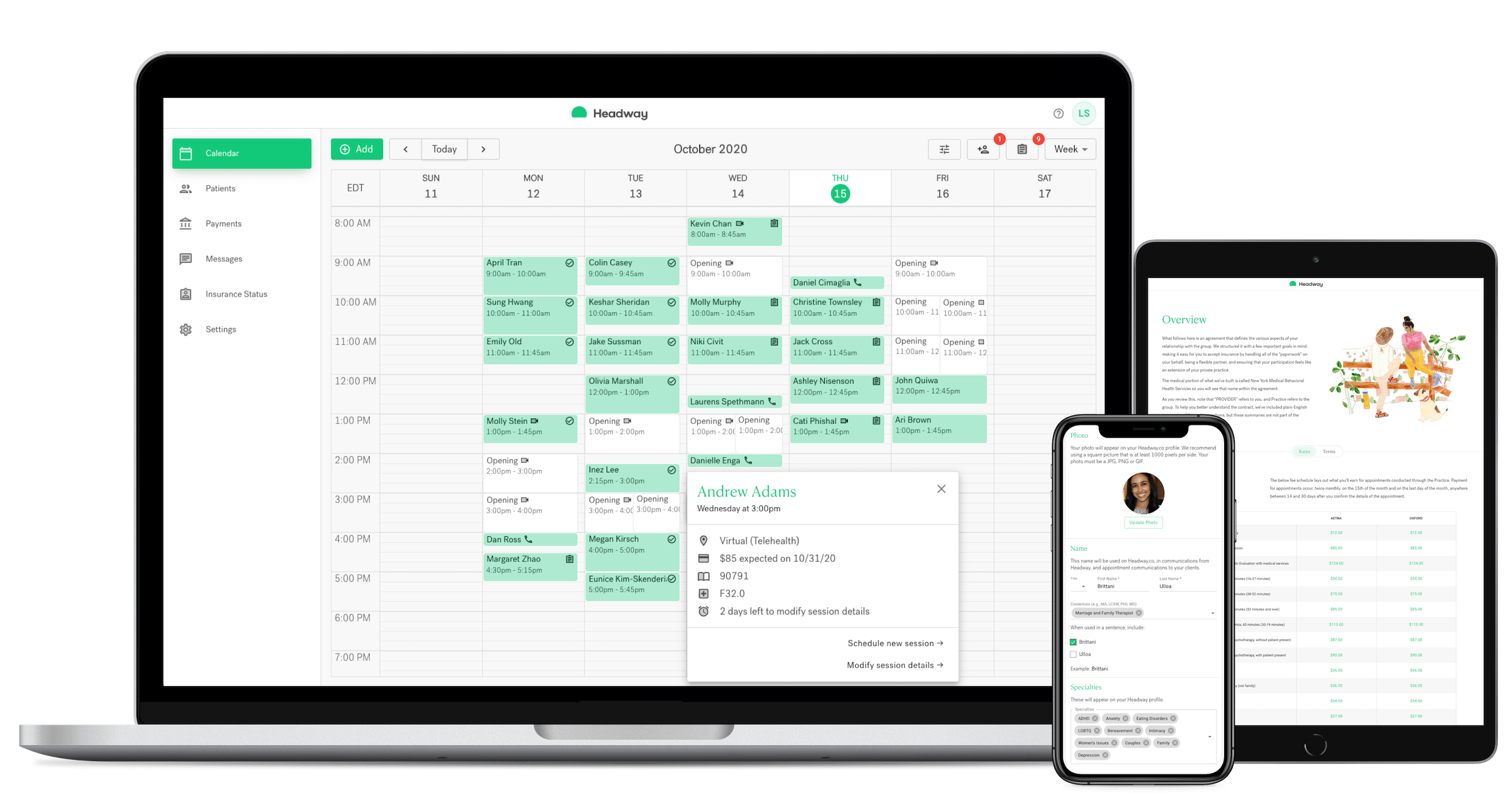 Headway's therapist product